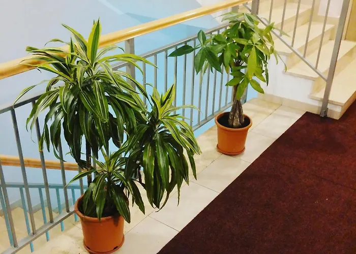 Kvart Na Dan Apartmán Podgorica